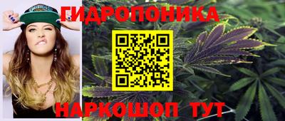 гашиш Гай