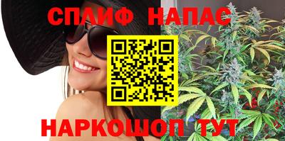ПСИЛОЦИБИНОВЫЕ ГРИБЫ Гатчина